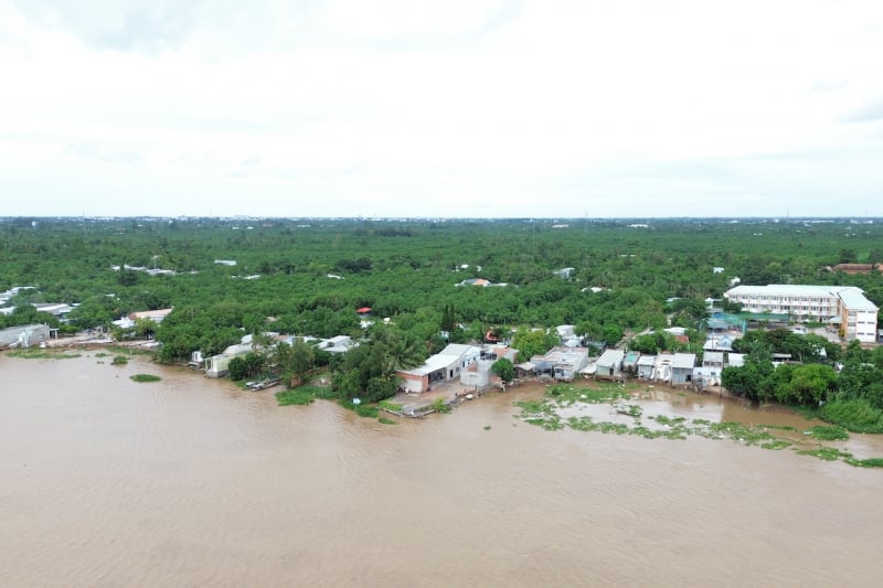 Close-up of the dangerous landslide, threatening the lives of hundreds of households along the Tien River -0
