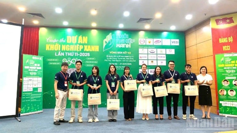 Các đội tham gia tranh tài tại 