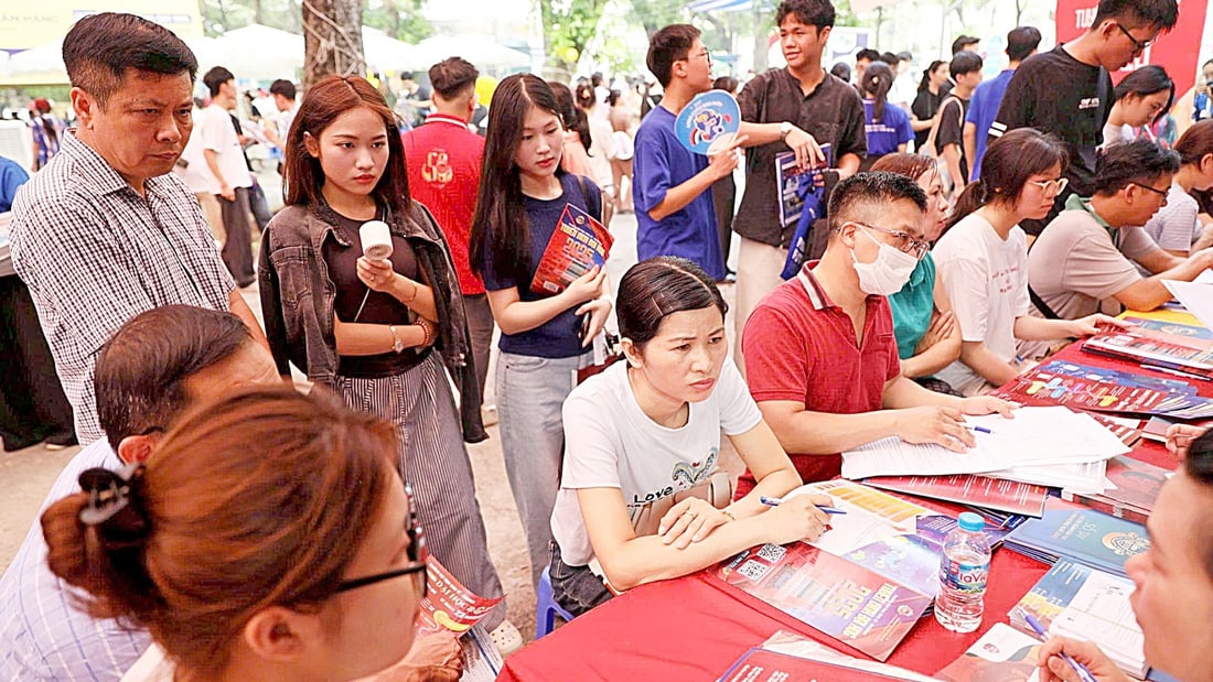 Cơ hội lớn từ sắp xếp đại học - Ảnh 1.