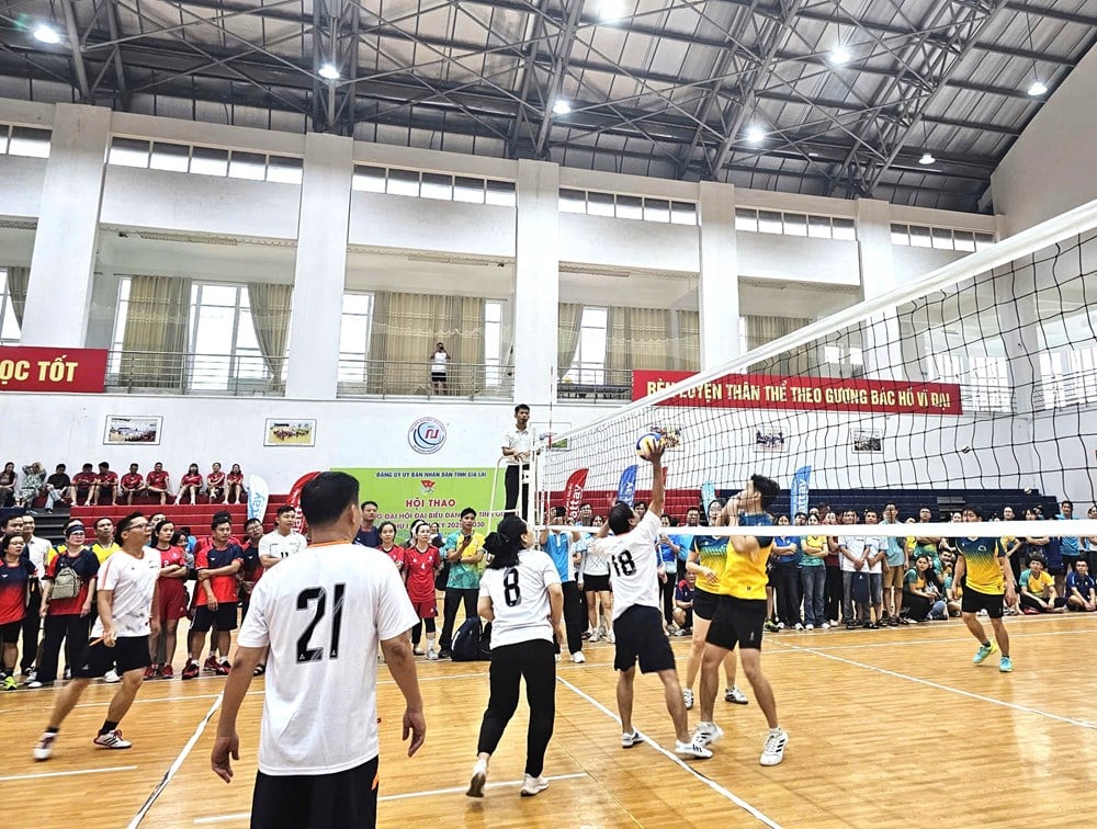 1,000여 명의 선수들이 가라이성 당위원회 대회를 환영하는 체육제에 참가했습니다. - 사진 4