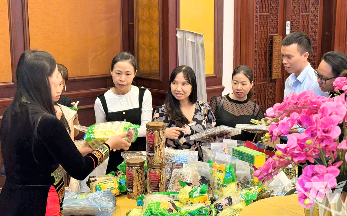 ផលិតផល OCOP របស់ Thai Nguyen មានការចាប់អារម្មណ៍ចំពោះគណៈប្រតិភូ។