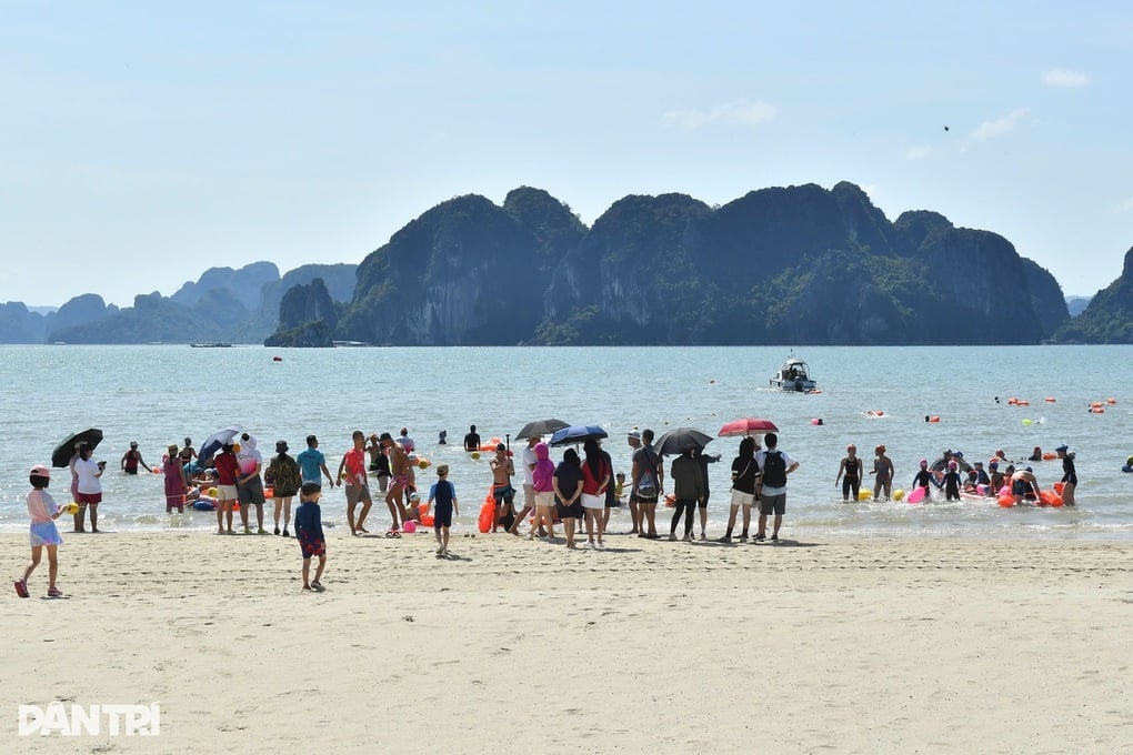 Aqua Warriors Vân Đồn 2025 - Camel Cup: Chiến binh nhí nhập cuộc - 1
