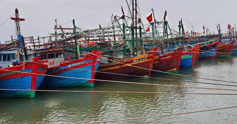 Quảng Trị khẩn trương triển khai ứng phó bão Bualoi- Ảnh 1.