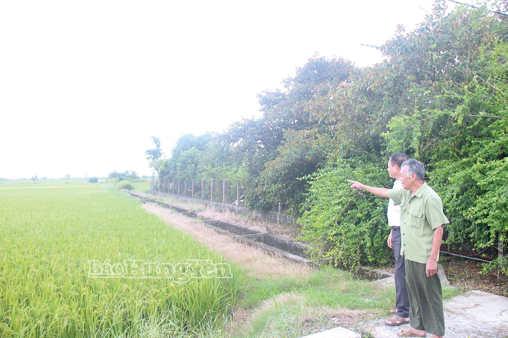 សមាជិកបក្ស Dang Quang Trung (ខាងក្រៅ) បានបរិច្ចាកដីស្រែជិត 1,600 ម៉ែត្រការ៉េ ដើម្បីបម្រើការបោសសំអាតទីតាំងសម្រាប់គម្រោង DT.455។