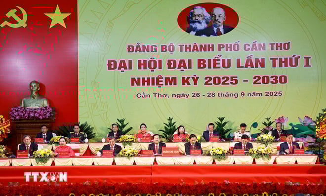 ttxvn-can-tho4.jpg