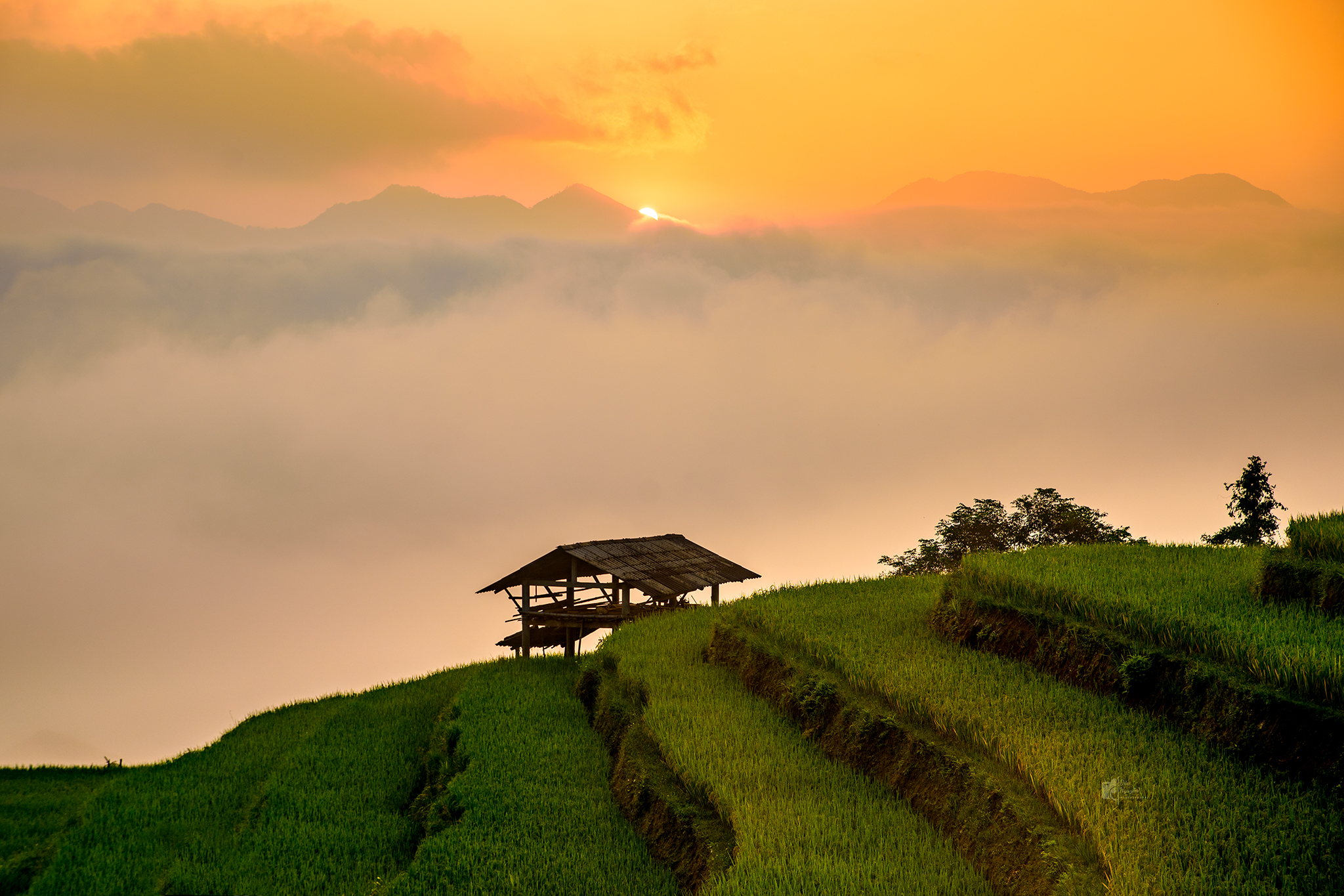 Những căn 'penthouse' ở Mù Cang Chải