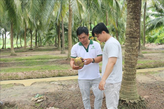 ចំណងជើងរូបថត