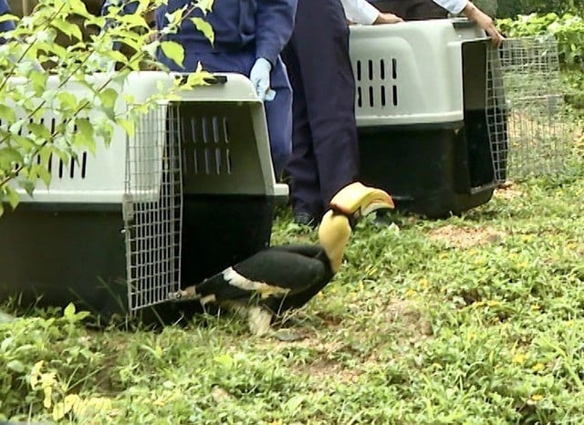dongg-4.jpg