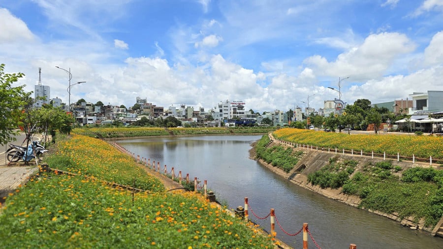 phuong-hoi-phu.jpg