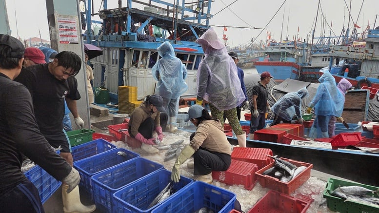 Quảng Trị, Quảng Ngãi cấm biển từ 17h chiều nay (27/9)- Ảnh 2.