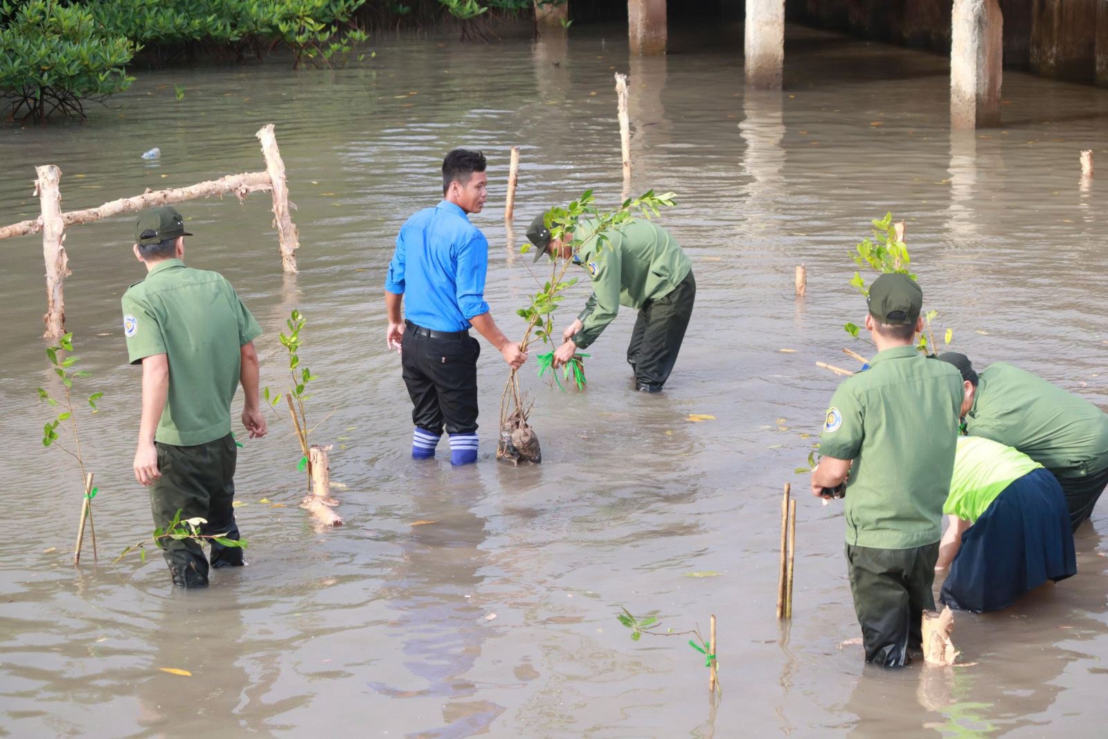 Chú thích ảnh