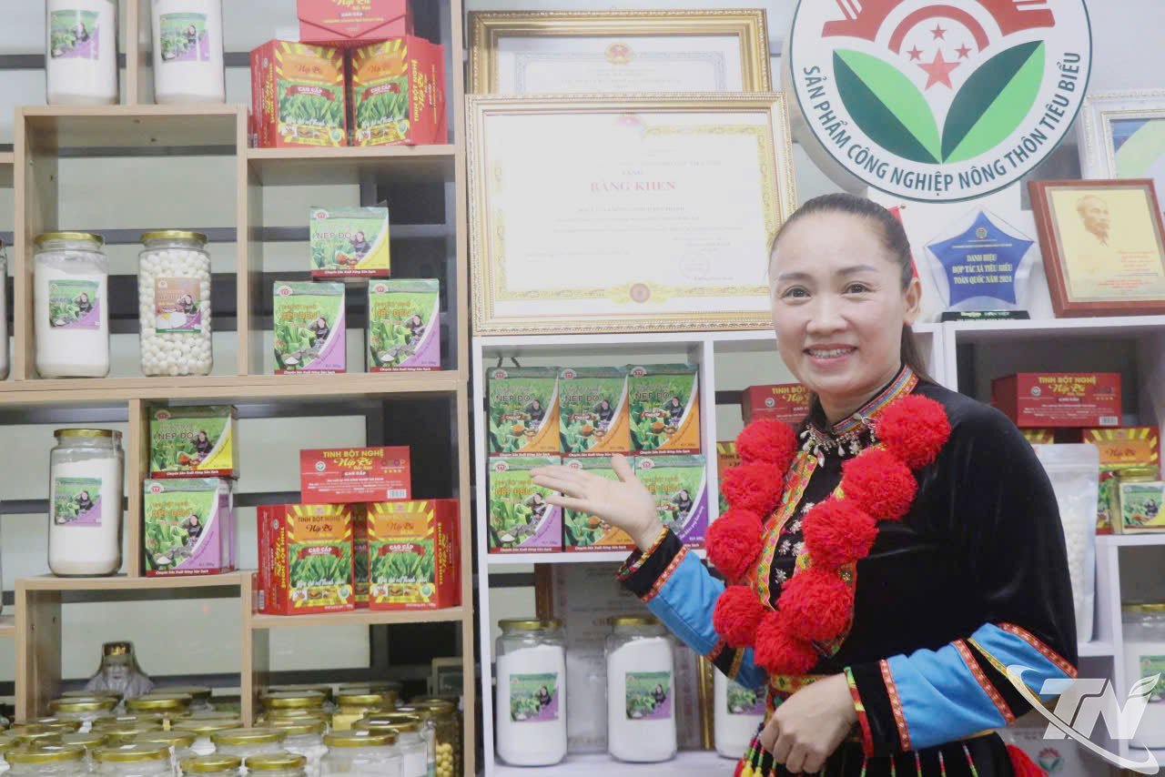 Tan Thanh Agricultural Cooperative mit Hauptprodukten aus Kurkuma.