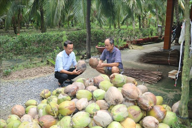 ចំណងជើងរូបថត