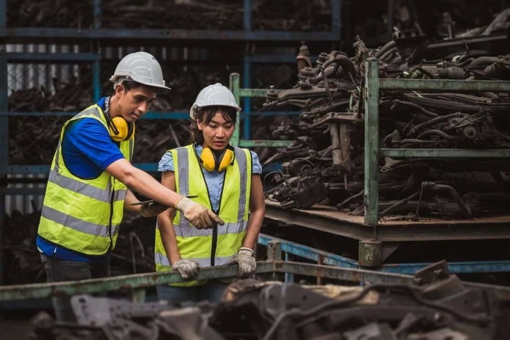 Đức 'trải thảm' đón sinh viên Việt Nam sang học tập, làm việc - Ảnh 1.