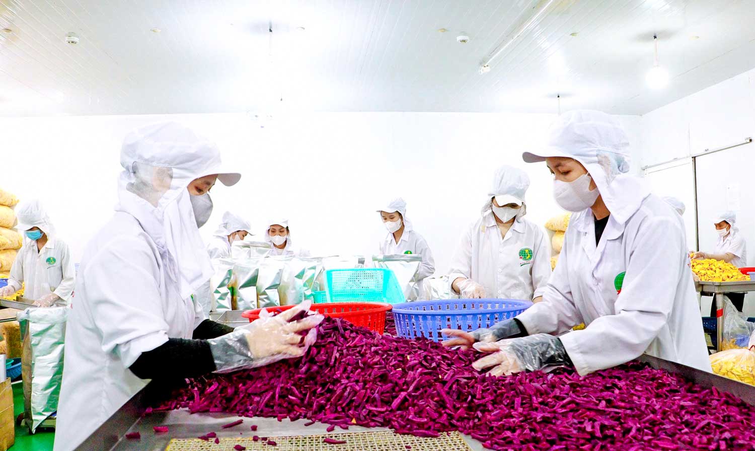 Thi đua nâng cao hiệu quả và sức cạnh tranh của sản phẩm, mở rộng quy mô, nâng cao năng lực sản xuất, kinh doanh.