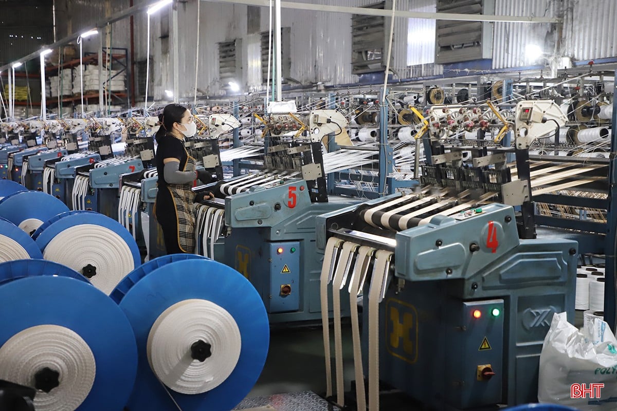 Công ty CP Bao bì Sông La Xanh đã đầu tư nhiều máy móc, thiết bị hiện đại, mở rộng quy mô phát triển sản xuất kinh doanh.
