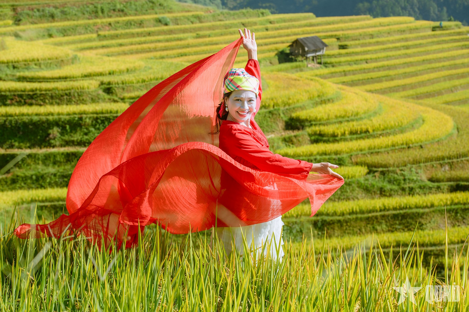Mùa vàng ở Mù Cang Chải