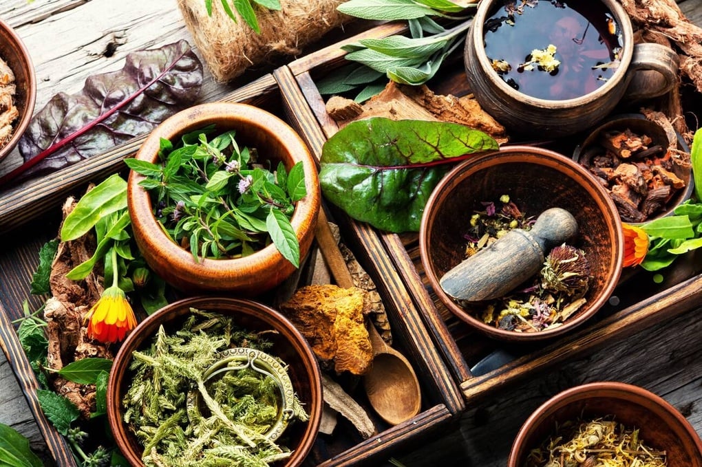 Giao mùa - Thời điểm bệnh hô hấp bùng phát và lựa chọn chăm sóc sức khỏe từ thảo dược - 1