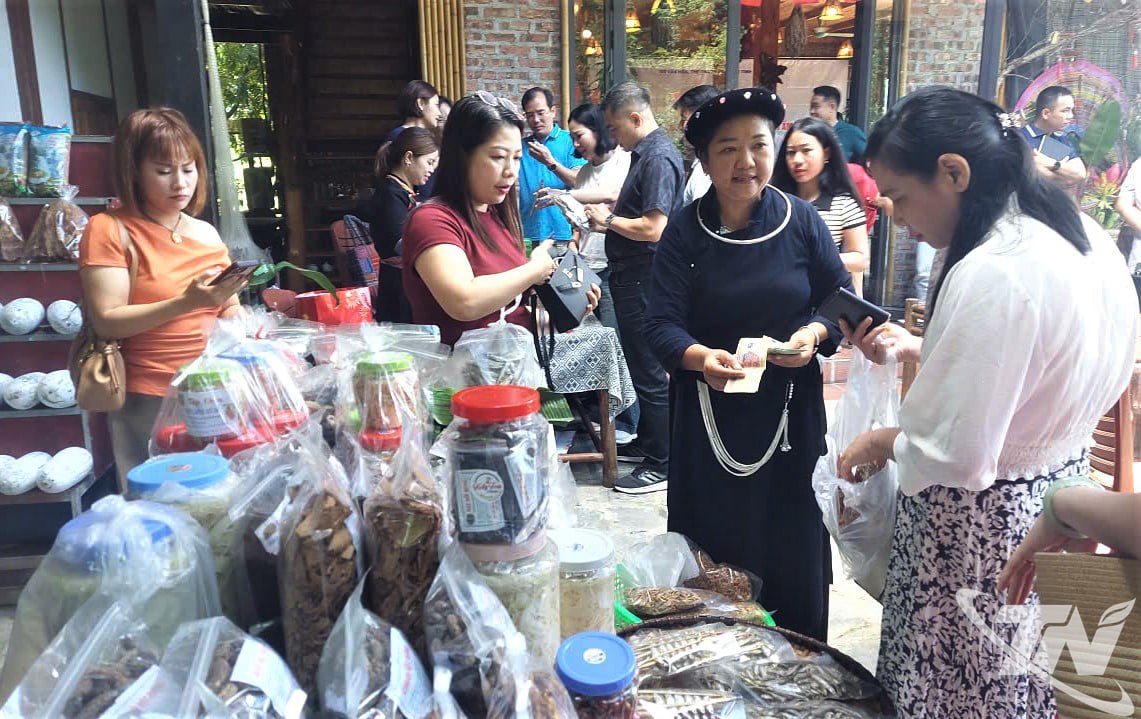 Improved transportation helps agricultural products of people in Bo Lu village, Ba Be commune, to be consumed conveniently, limiting the situation of being forced down on prices by traders.