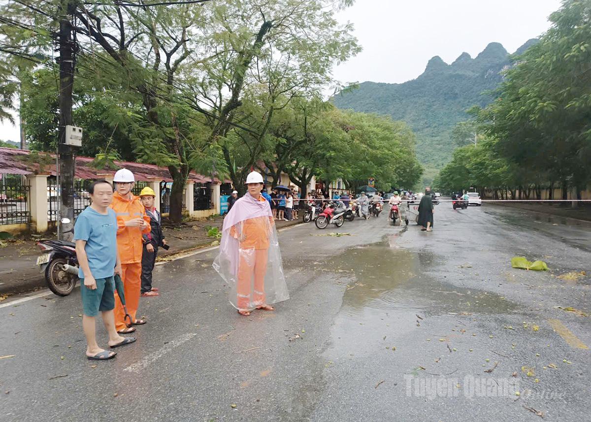 អាជ្ញាធរ​បាន​មក​ដល់​ទាន់​ពេល ដើម្បី​ហាម​មិន​ឱ្យ​រថយន្ត​ឆ្លងកាត់​កន្លែង​ដែល​បង្គោល​ភ្លើង​បាន​ដួល ។