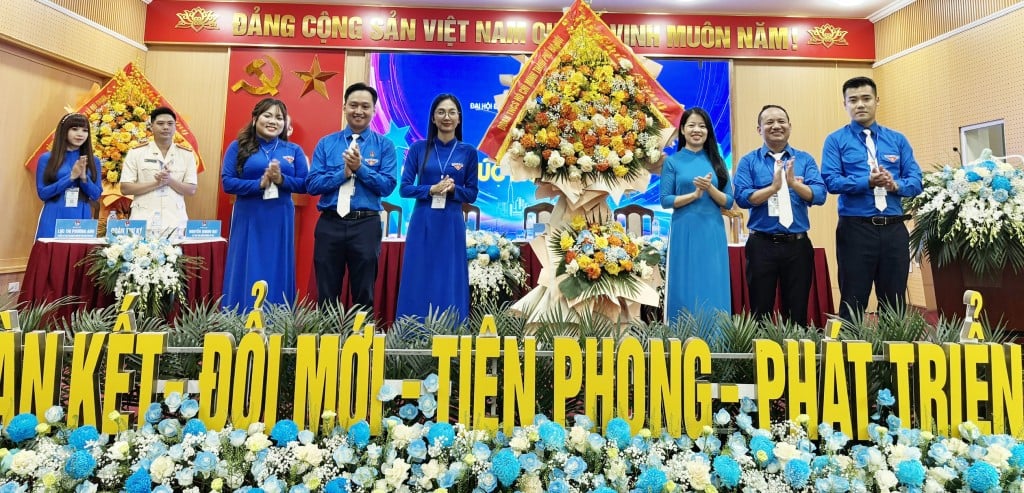 Xung kích, tình nguyện xây dựng và phát triển xã Đại Thanh văn minh, hiện đại- Ảnh 1.