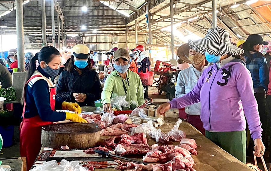 tai-mien-bac-va-mien-trung-tay-nguyen-gia-heo-hoi-tang-1000-dong-kg.jpg