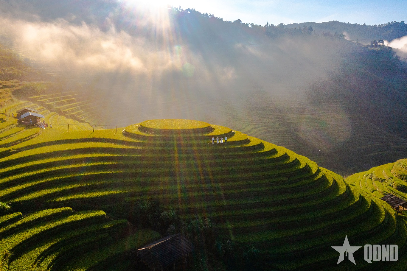 Mùa vàng ở Mù Cang Chải