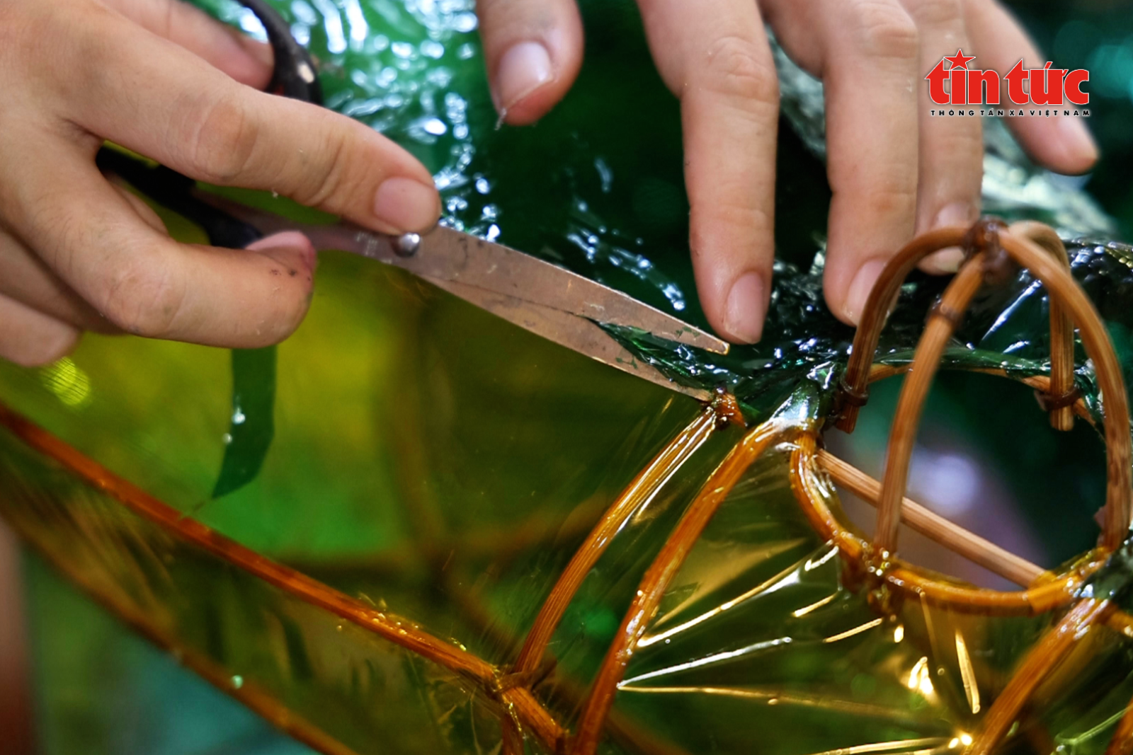 ចំណងជើងរូបថត