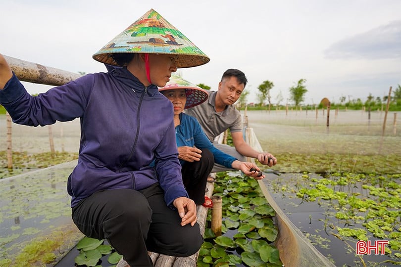 bqbht_br_anh-quyen.jpg