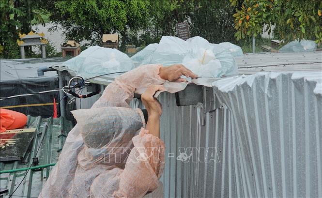 ចំណងជើងរូបថត