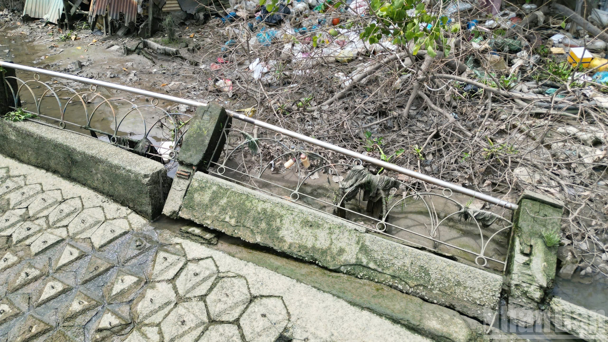 ndo_br_03.jpg