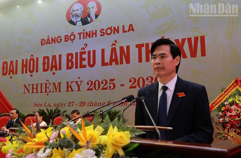 ndo_tr_11.jpg