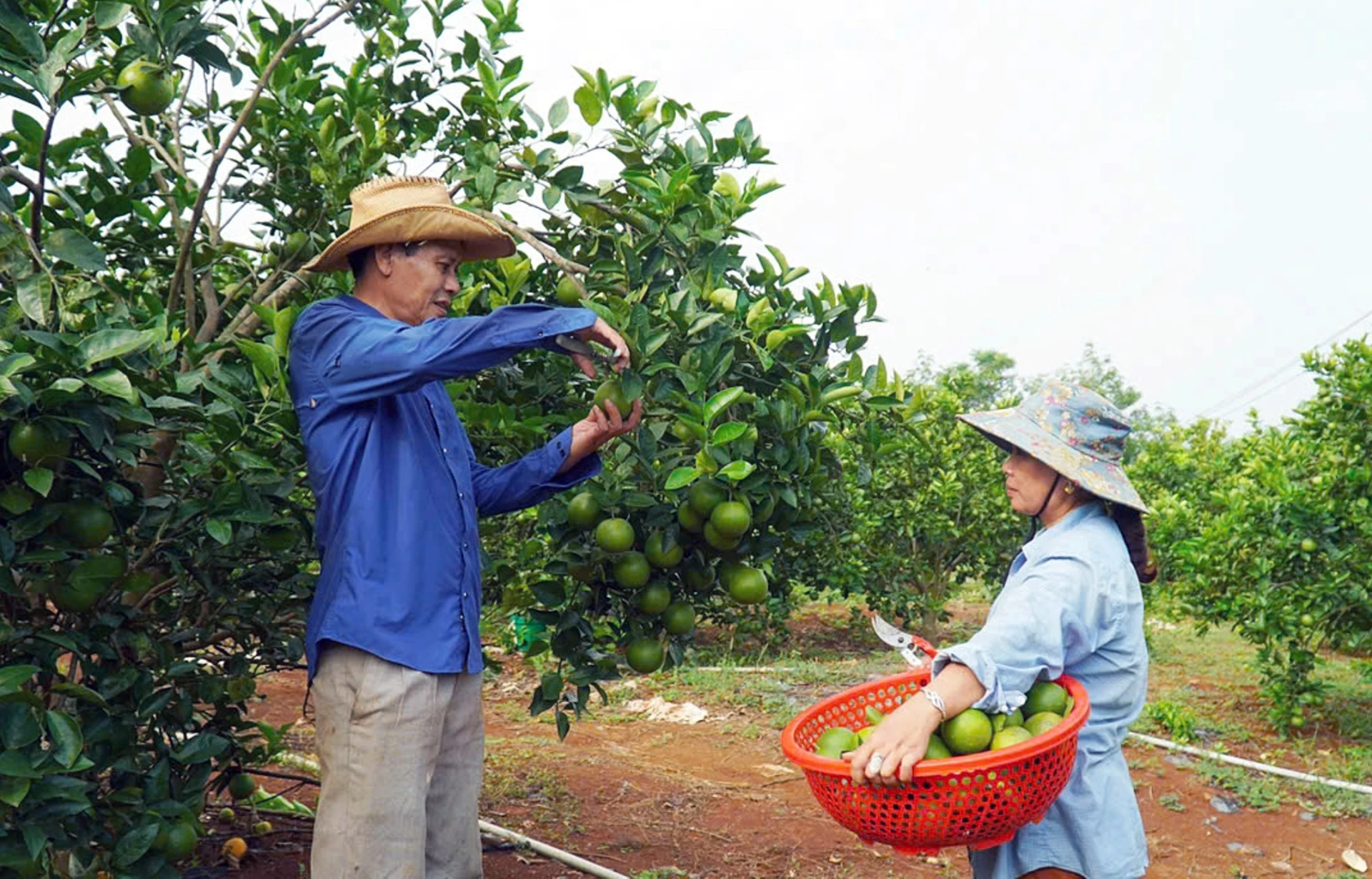 Diễn đàn “Bộ trưởng Bộ Công Thương và Chủ tịch Hội Nông dân Việt Nam – Lắng nghe nông dân nói”
