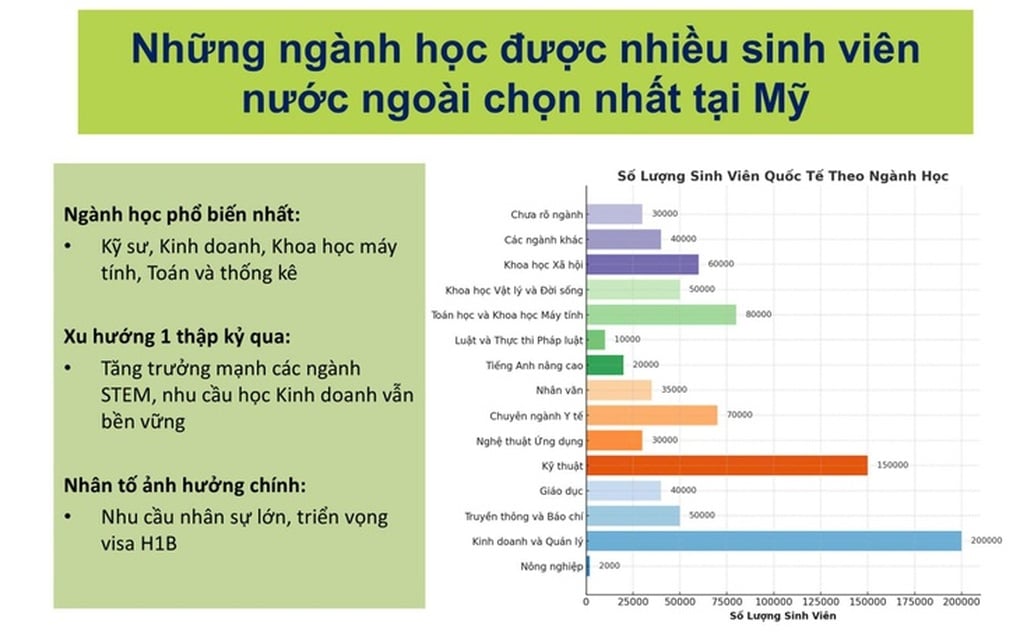 Chọn sai ngành học giống bắt cá leo cây, bắt khỉ lội nước - 2