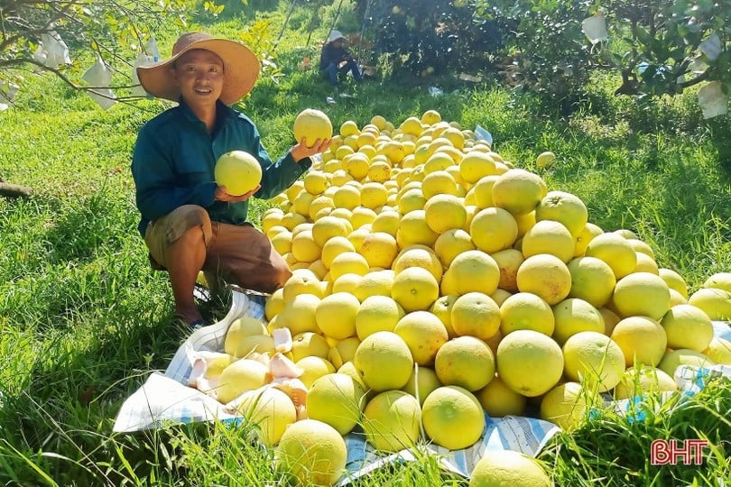 nong-dan-2.jpg