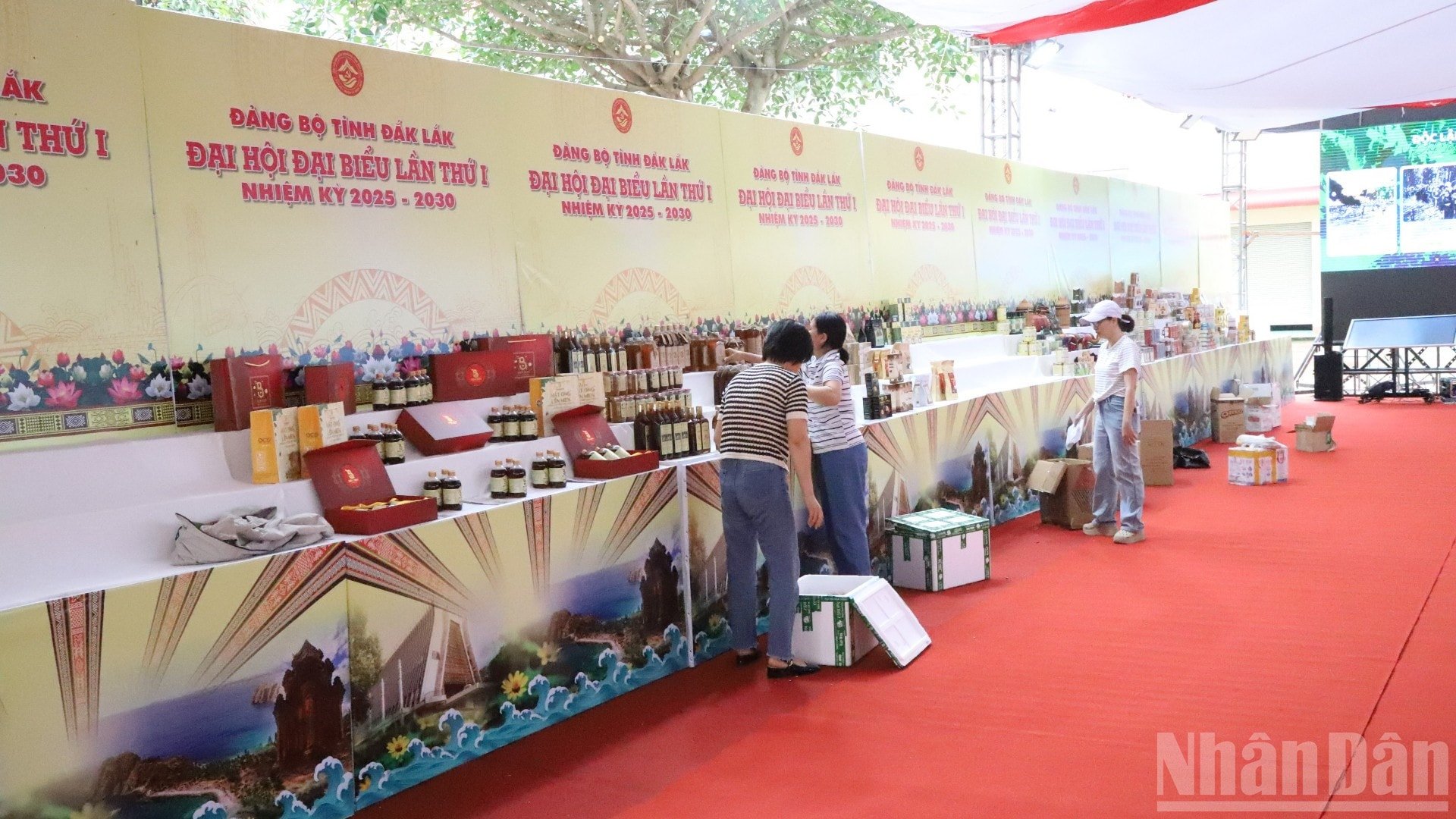 ndo_br_img-5307-7768.jpg