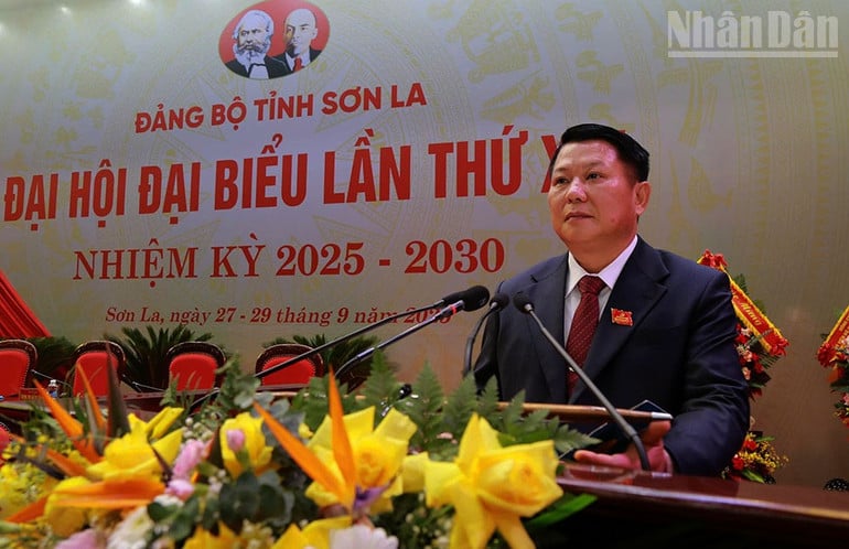 ndo_tr_12.jpg