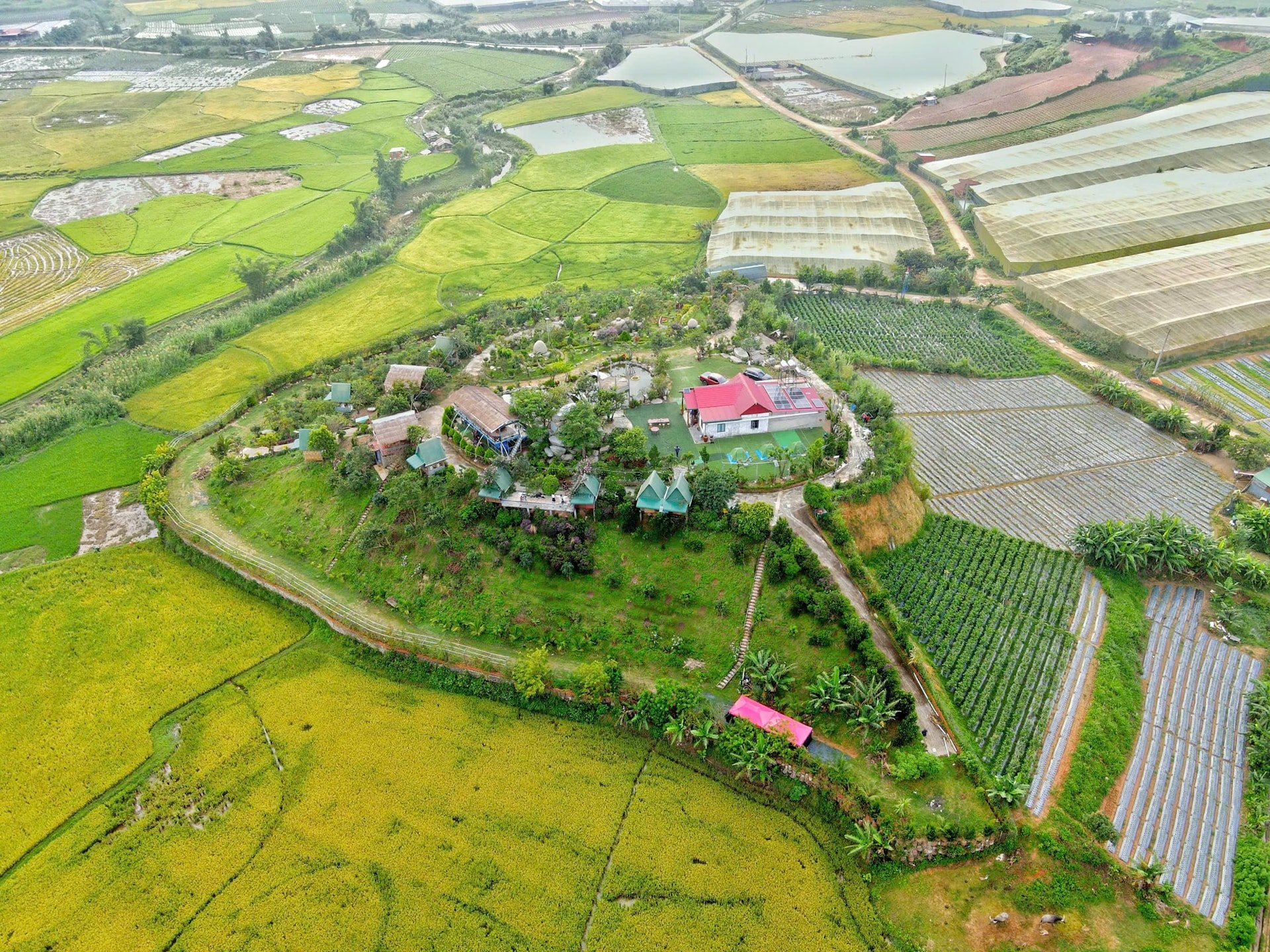 ẢNH TOÀN 