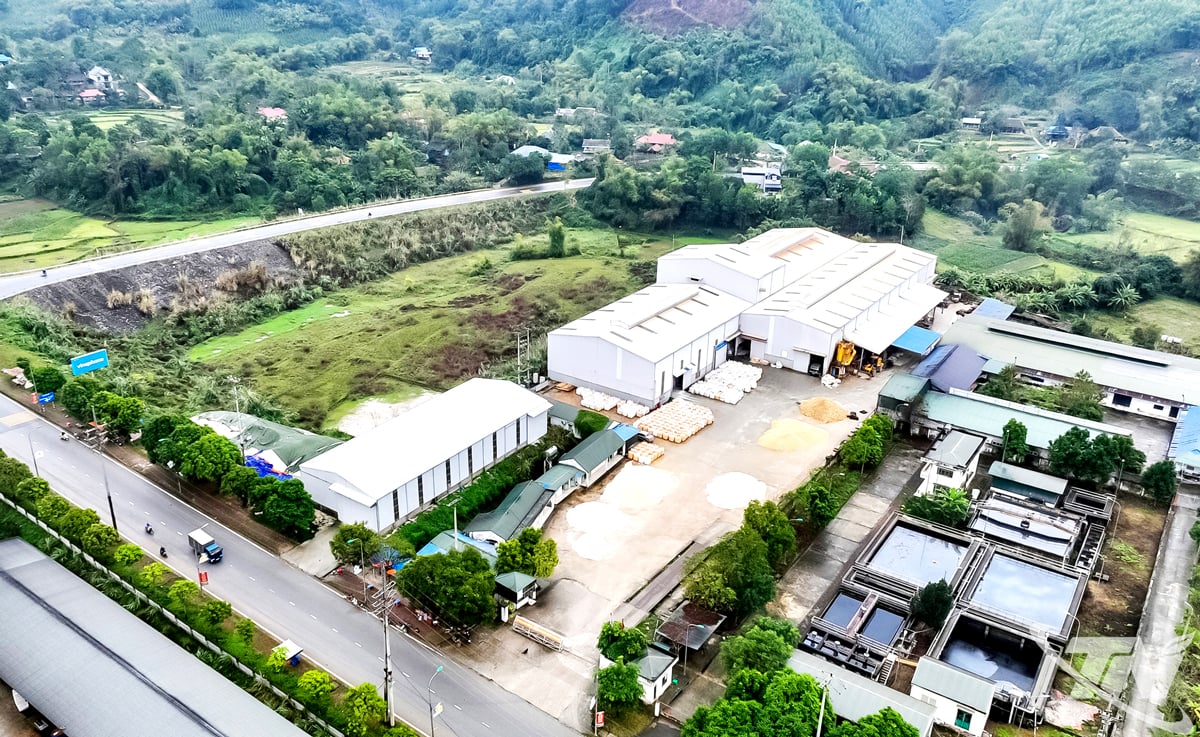 ក្រុមហ៊ុន Kim An An Company Limited (មានទីតាំងនៅសួនឧស្សាហកម្ម Thanh Binh ខេត្ត Thai Nguyen) គឺជាសហគ្រាសឈានមុខគេមួយក្នុងការធ្វើអាជីវកម្ម និងផ្គត់ផ្គង់ផលិតផលថ្ម Quartz ធម្មជាតិនៅប្រទេសវៀតណាម។ រូបថត៖ T.L