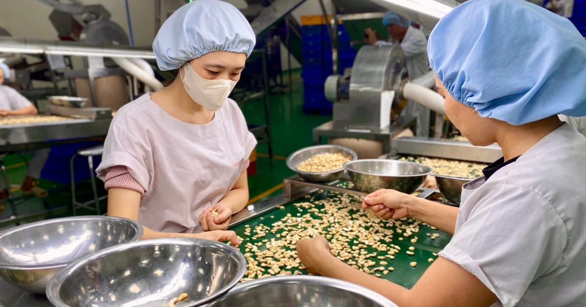 Gia Lai thu hút 144 dự án đầu tư trong 9 tháng đầu năm 2025