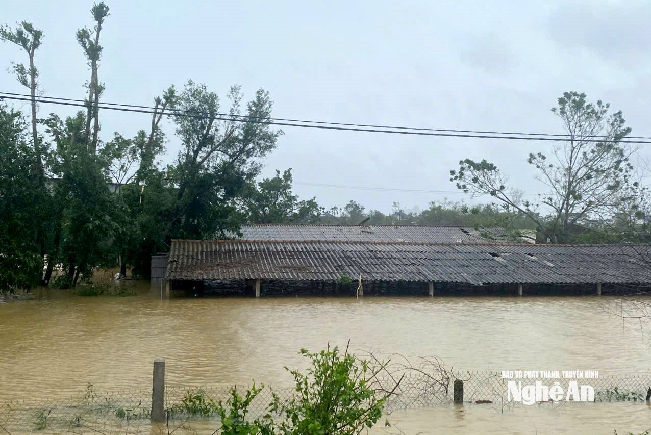 លូ ២ (២)