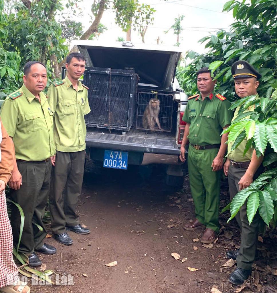 នាយកដ្ឋាន​ការពារ​ព្រៃឈើ​តំបន់​ប៊ុន​ដន និង​នគរបាល​ឃុំ​អណ្តែត ទទួលបាន​សត្វ​កម្រ​ចំនួន​២​ក្បាល ប្រគល់​ជូន​ប្រជាពលរដ្ឋ​ក្នុង​មូលដ្ឋាន​។