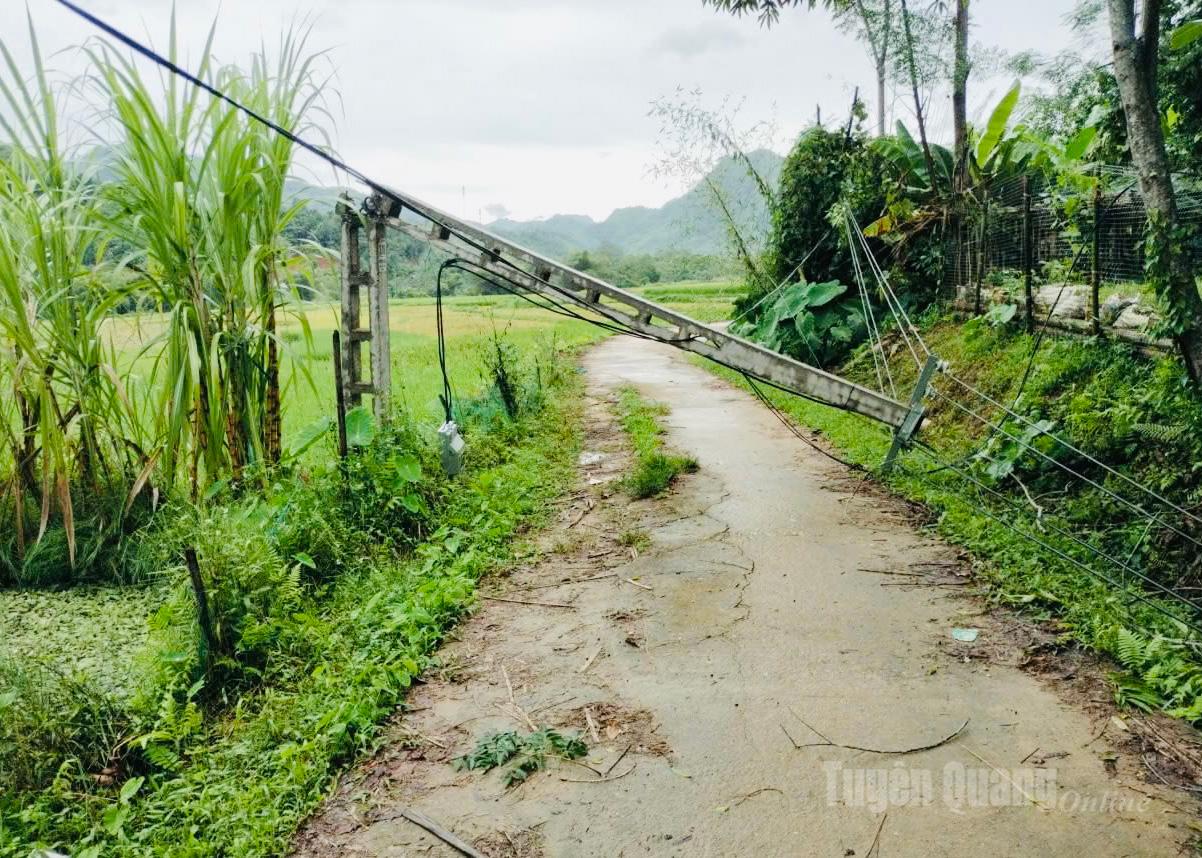 បង្គោល​ភ្លើង​រលំ​បណ្ដាល​ឲ្យ​ដាច់​ចរន្ត​អគ្គិសនី​ក្នុង​មូលដ្ឋាន។
