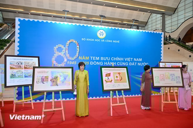 vnp-khoa-hoc-cong-nghe-4.jpg