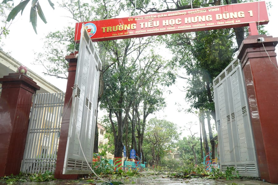 bao-lu-nghe-an-13.jpg