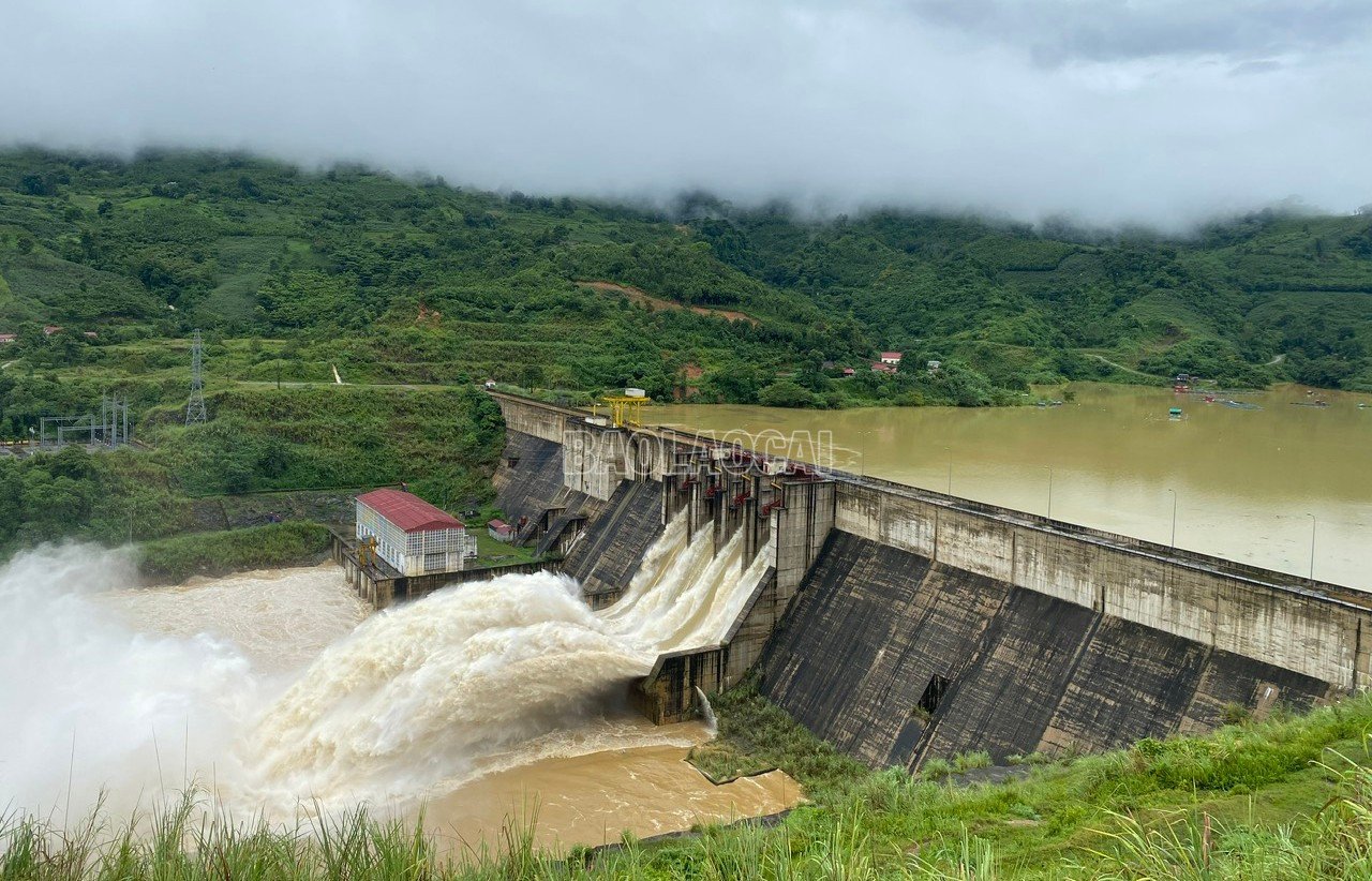 baolaocai-c_td-1.jpg