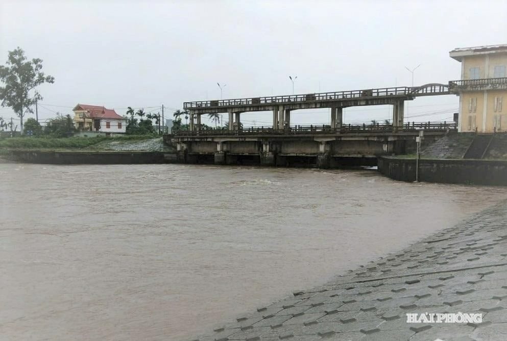 លក្ខណៈវិនិច្ឆ័យ 1
