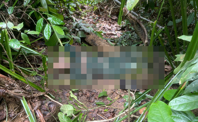 Mayat lelaki hilang selama 4 hari ditemui di hutan dalam -0