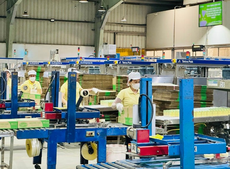 Xây dựng Nghị định mới về tăng lương tối thiểu áp dụng từ năm 2026- Ảnh 1.