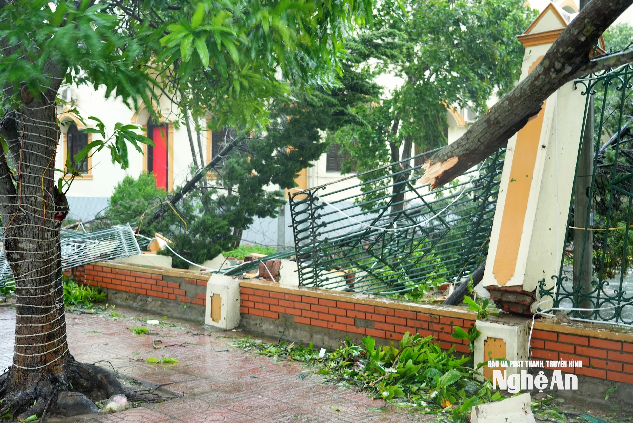 រូបថត Thanh Chung (4)